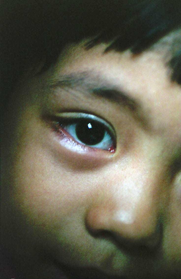 食堂にいた子供